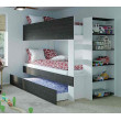 Bunk Bed with built in Bookshelf & optional trundle or drawers Bunk Bed with built in Bookshelf & optional trundle or drawers